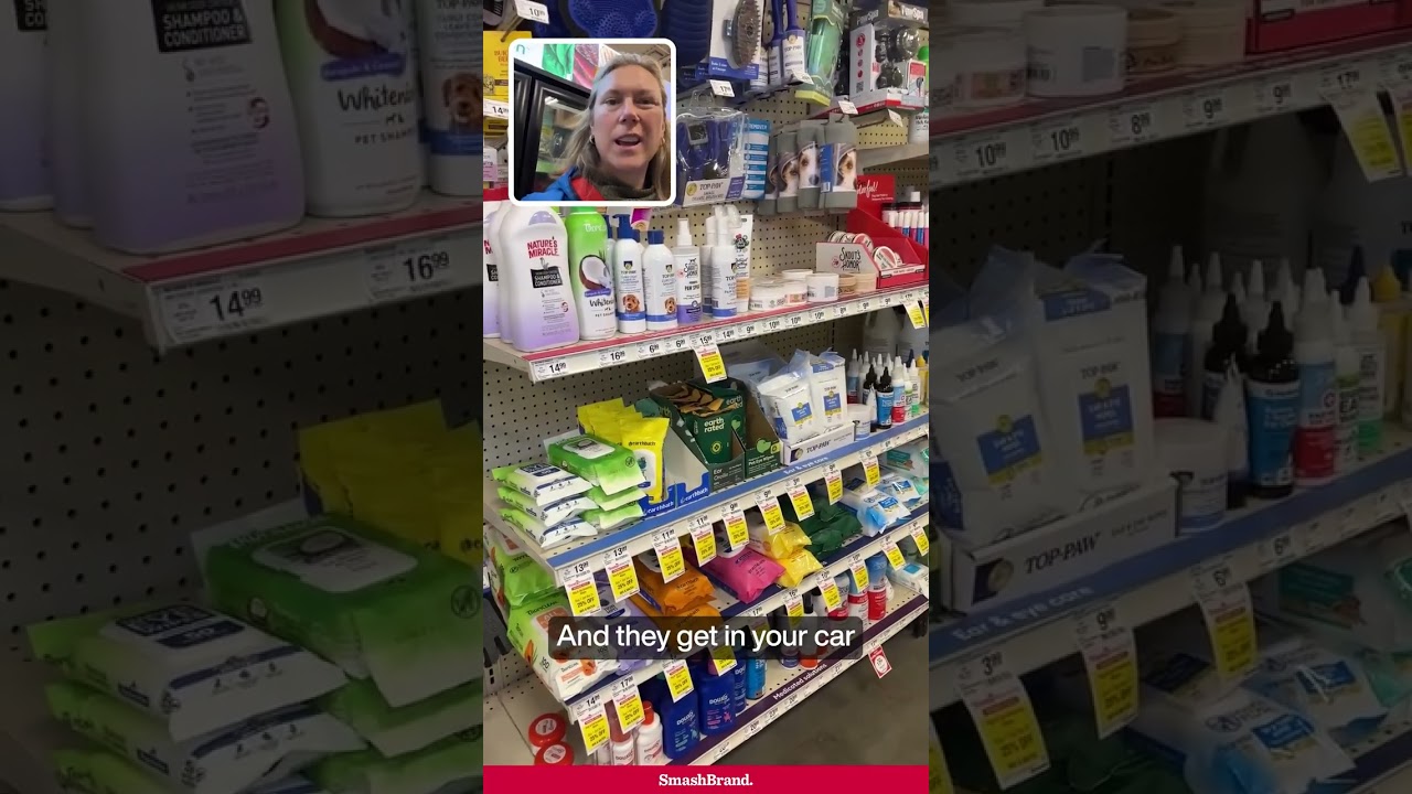 Why None of These Pet Wipe Brand Stands Out at Shelf