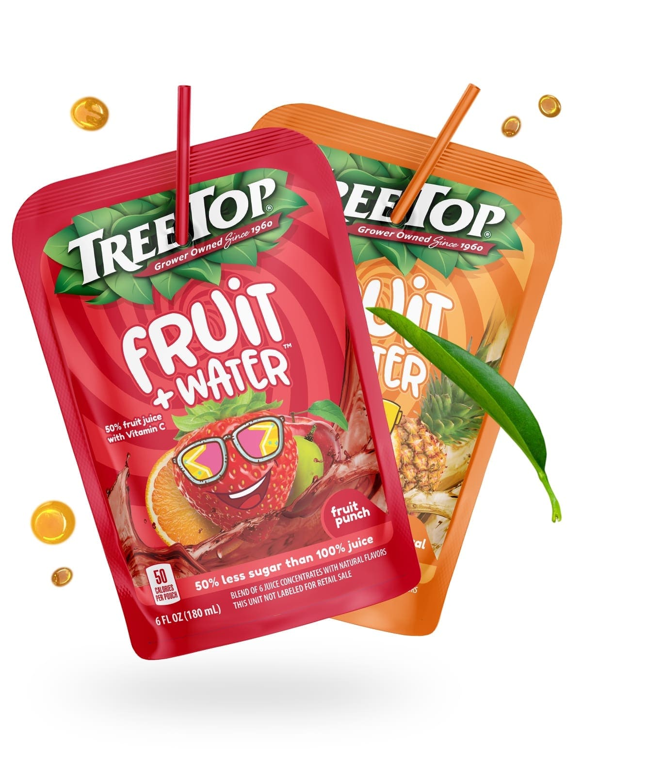 treetop fruit fruit punch branding