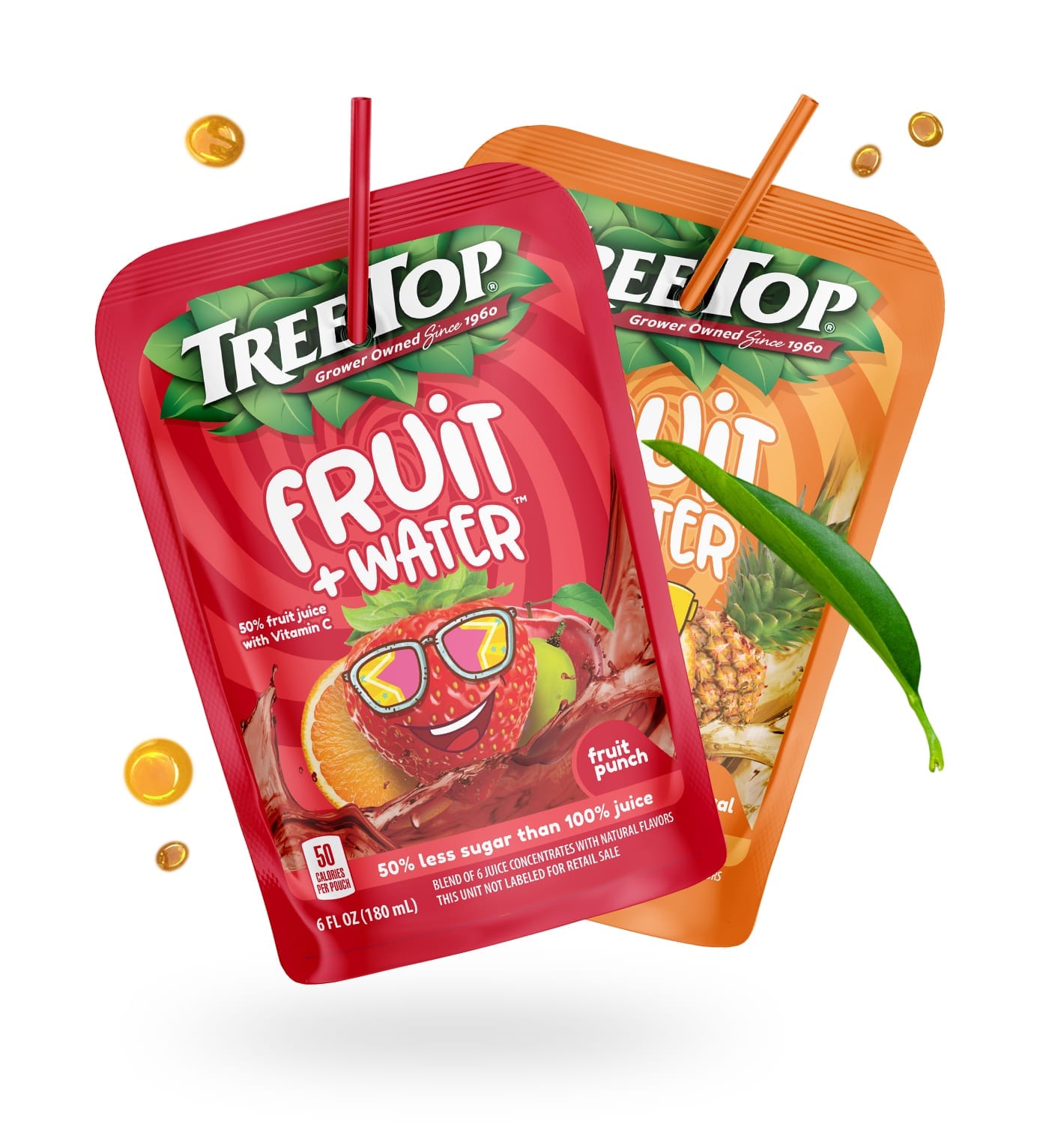treetop fruit punch package design
