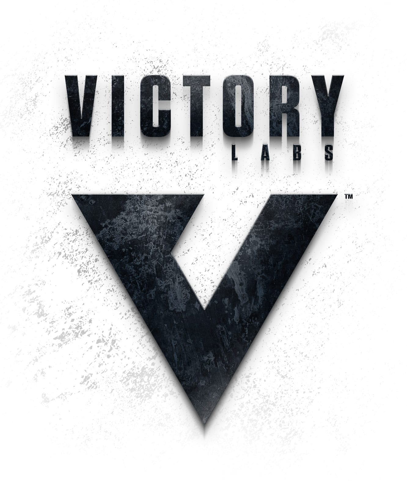 victory labs logo designer