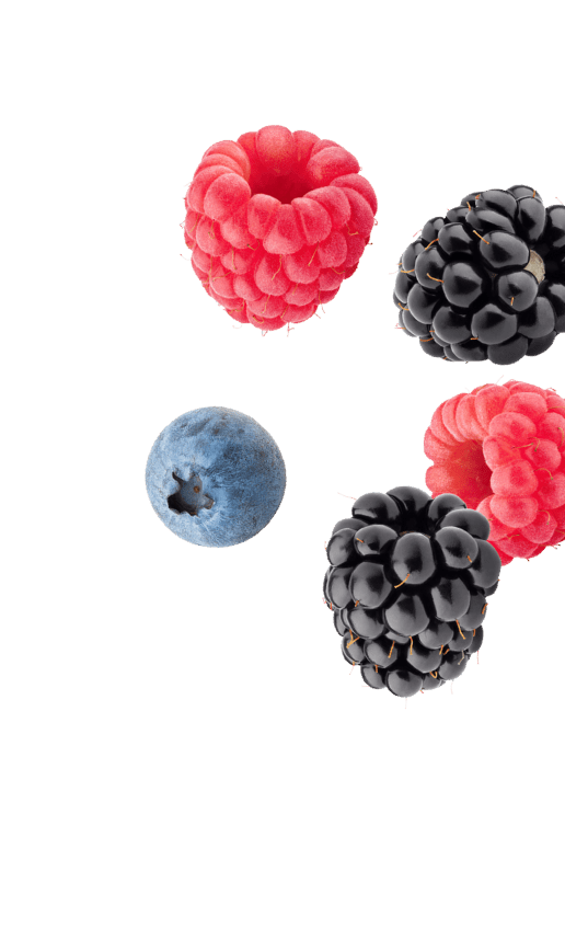 berries – SmashBrand - Package Design and Branding Agency berries image