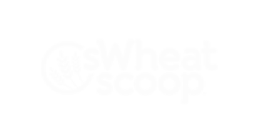 sweat scoop logo – SmashBrand - Package Design and Branding Agency sweat scoop branding agency