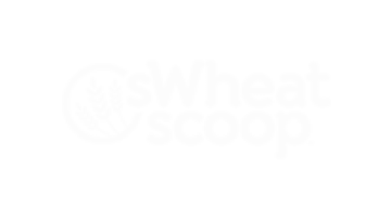 sweat scoop branding agency