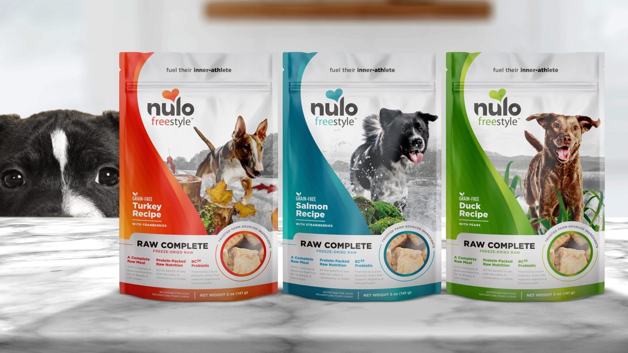 Dog Food Packaging Design  The Finishing Post Marketing