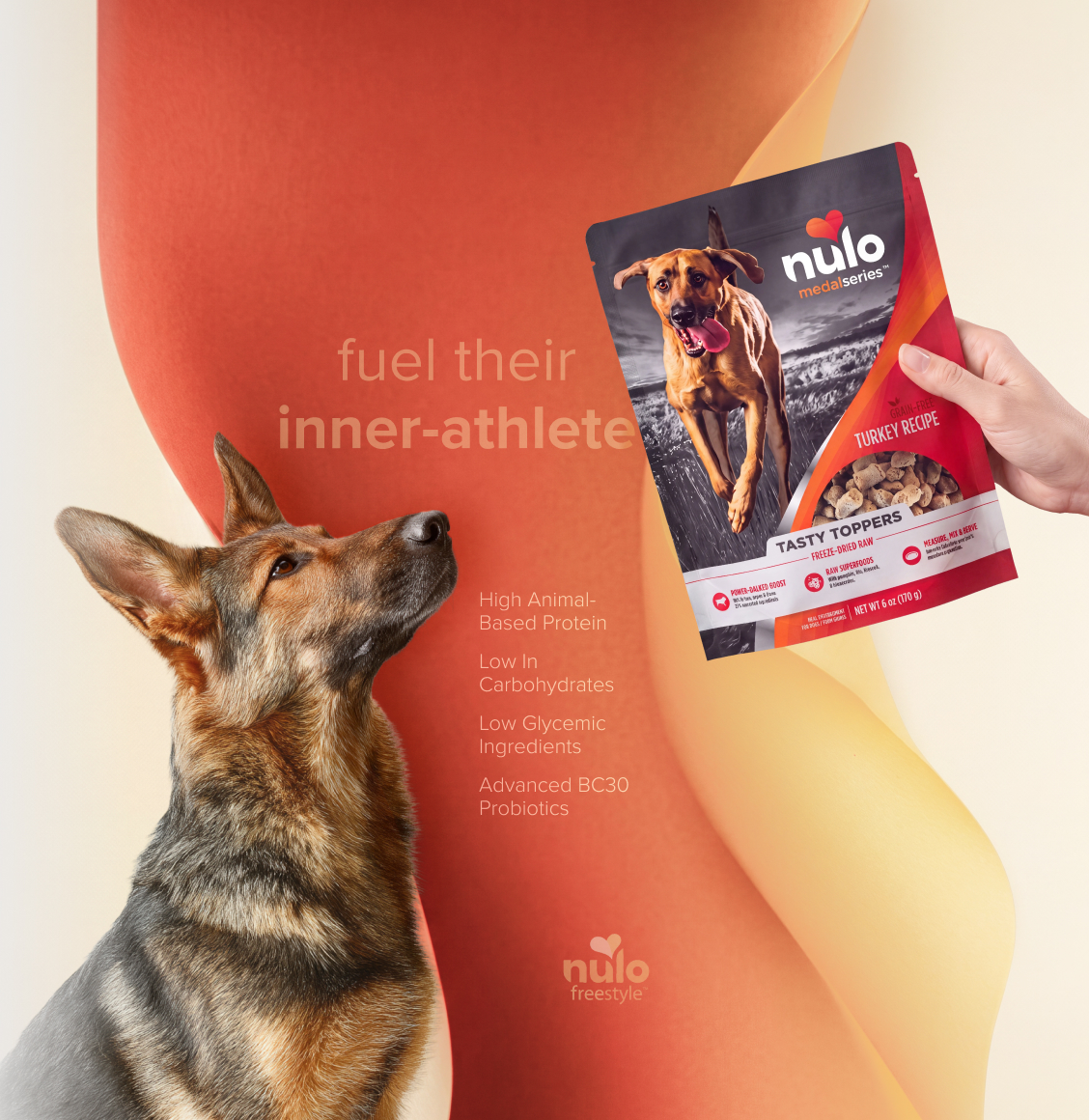 Dog looks up at a bag of Nulo Turkey Recipe dog food with the slogan 'fuel their inner-athlete'.