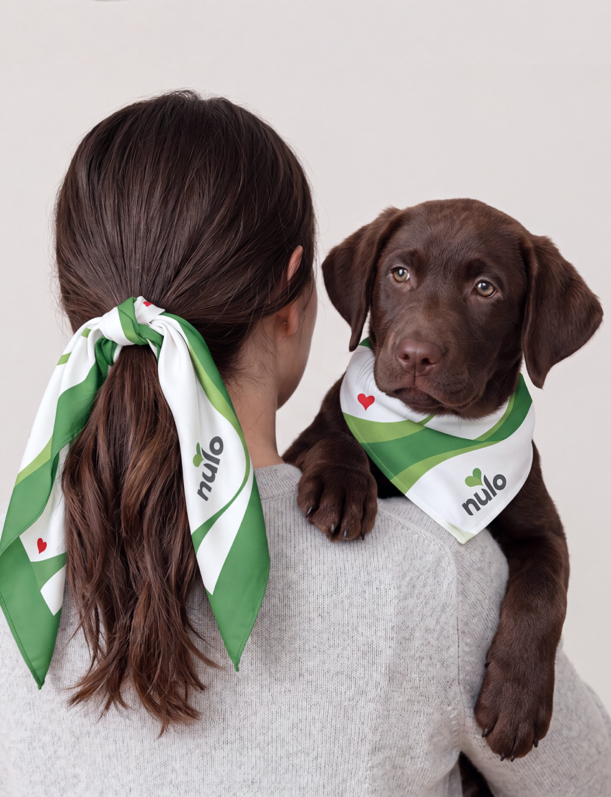 Person with brown hair in a gray sweater holds a chocolate Labrador puppy; both wear green and white bandanas with a small red heart and the 'nulo' logo.