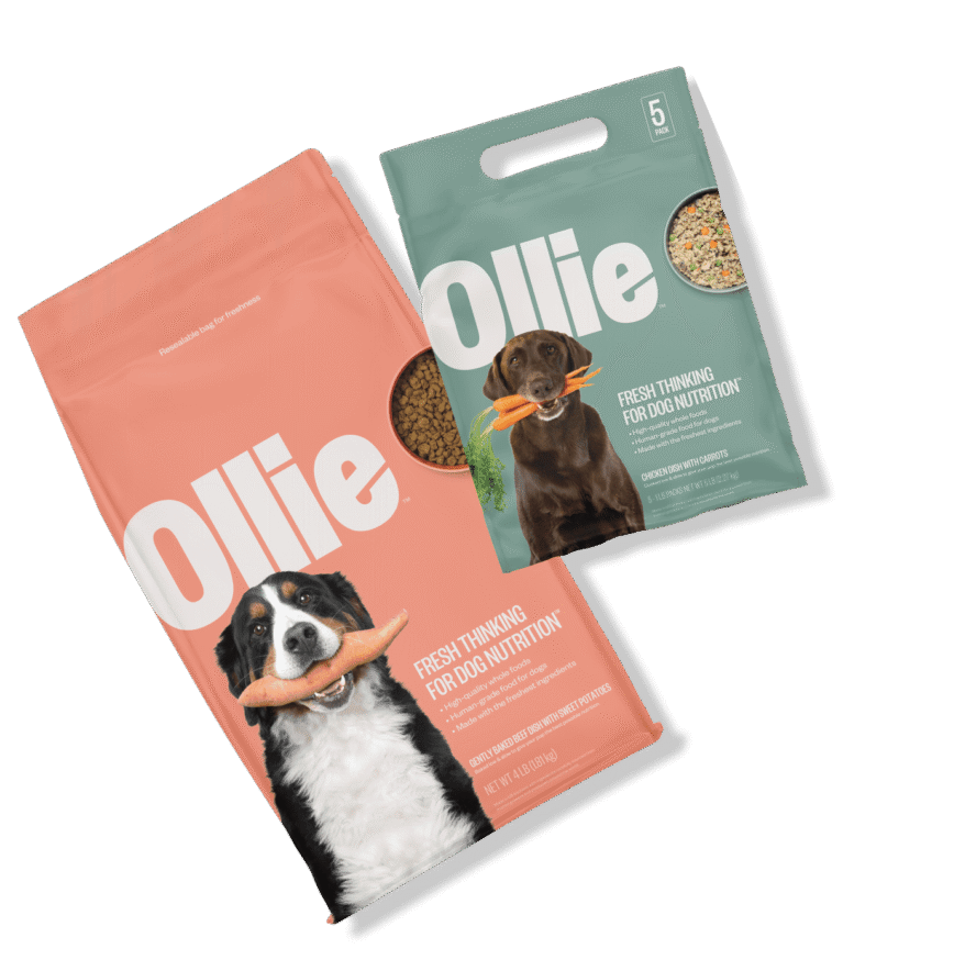 Brand Design Agency For Brands In The Pet Category Like Ollie