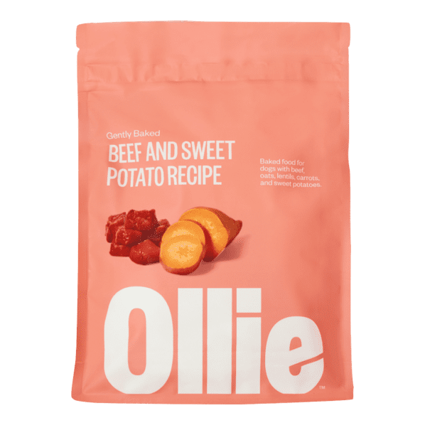Ollie Original Packaging Design