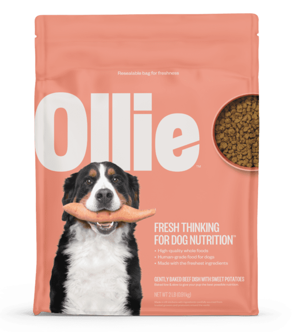 Ollie New Packaging Design