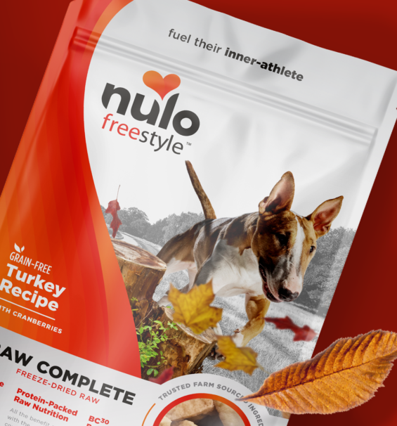 Nulo Case Study CTA Image