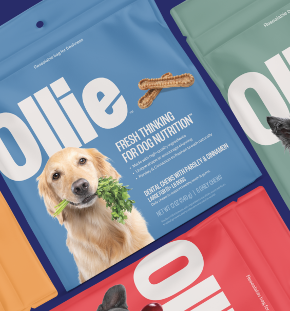 Ollie Case Study CTA Image