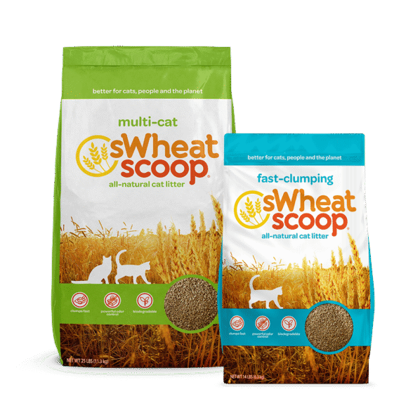 sWheat_Before_980x980