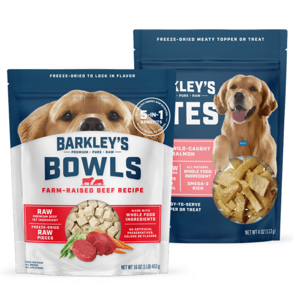Barkley's Bag Packaging Design Case Study: New pack that signals quality, unifies visual identity, and sharpens messaging across formats.