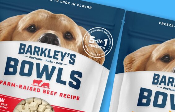 Packaging Design Case Studies: Barkley's Bag